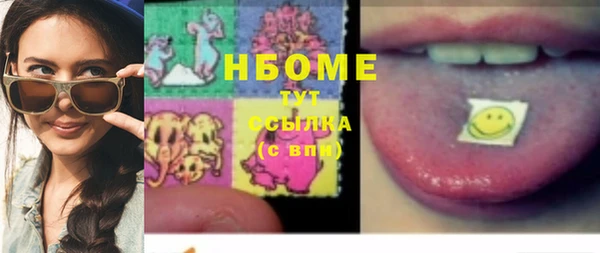 прущие грибы Новокубанск