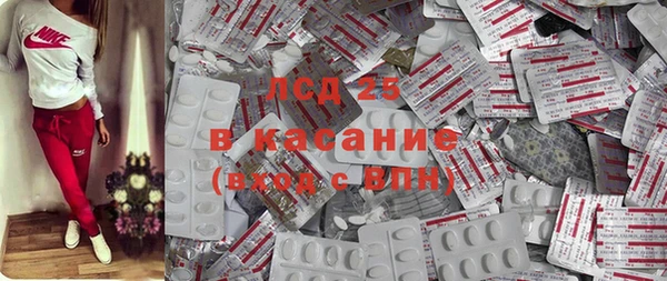 прущие крисы Новозыбков
