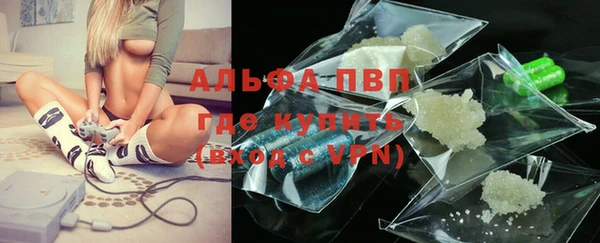 прущие грибы Новокубанск
