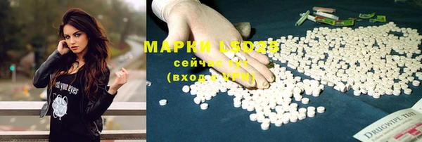 прущие крисы Новозыбков