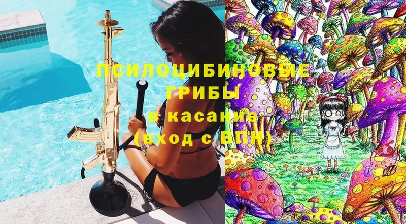 OMG ССЫЛКА  Сортавала  Псилоцибиновые грибы прущие грибы  купить наркотики цена 